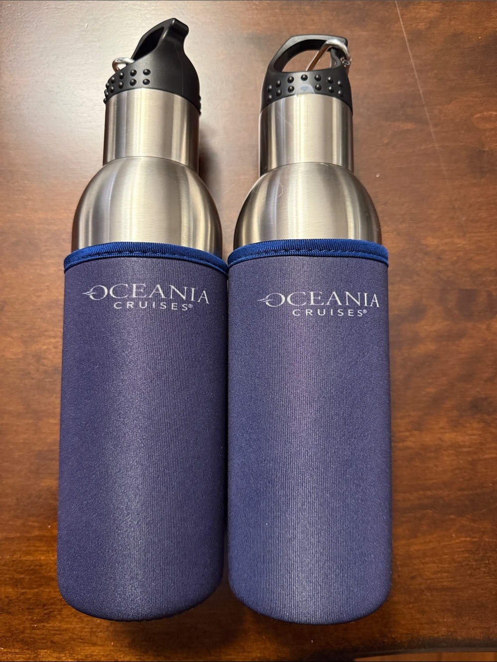 New Insulated Stainless Steel Water Bottle with Oceania Cruiseline Sleeve - 2